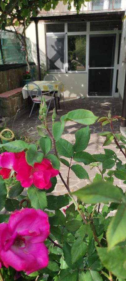 Apartma Marinka ピラン エクステリア 写真