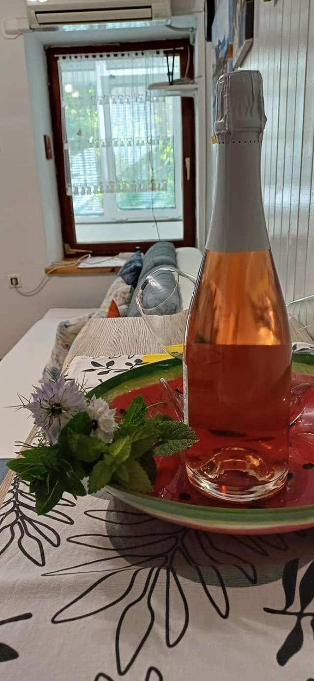 Apartma Marinka ピラン エクステリア 写真