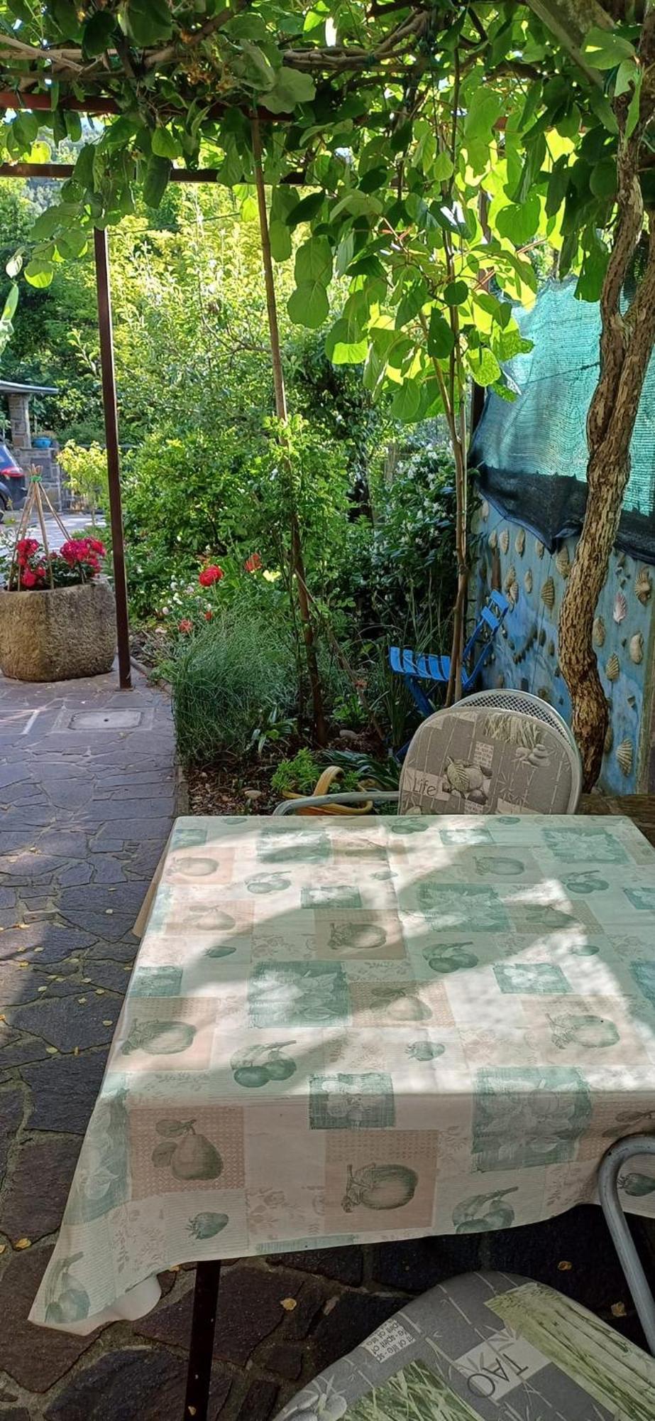 Apartma Marinka ピラン エクステリア 写真